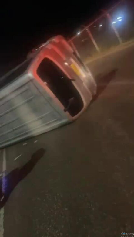 Bus-Flip-e1717761251509.jpeg