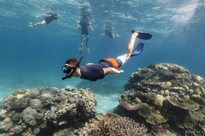 snorkelling-scaled.jpg
