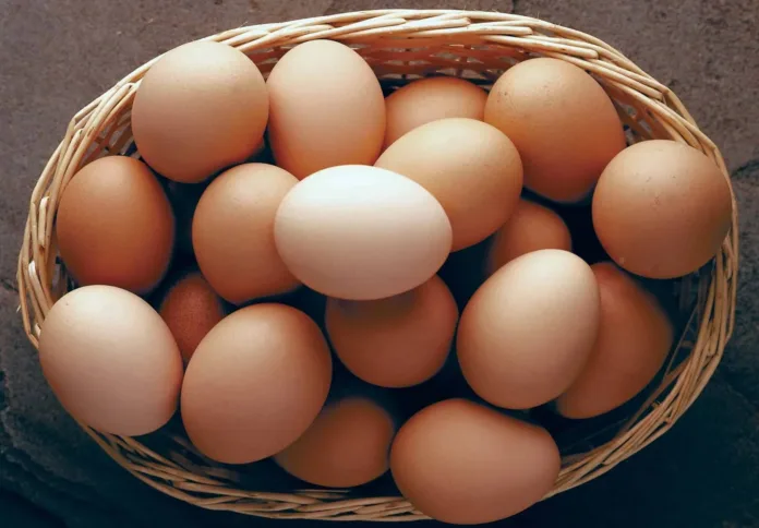 eggs.webp