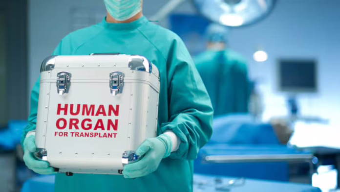 organ.avif