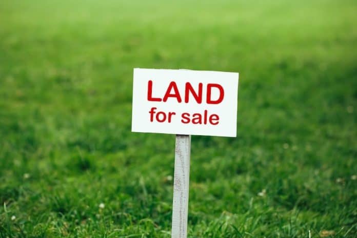 selling-undeveloped-land-696x464-land-for-sale.jpg