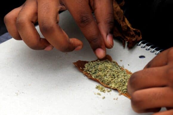 weed-e1725445578312.jpeg