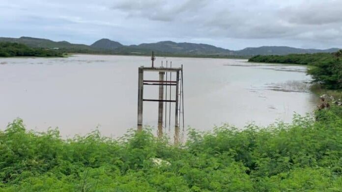 dam-e1741795367924.jpg
