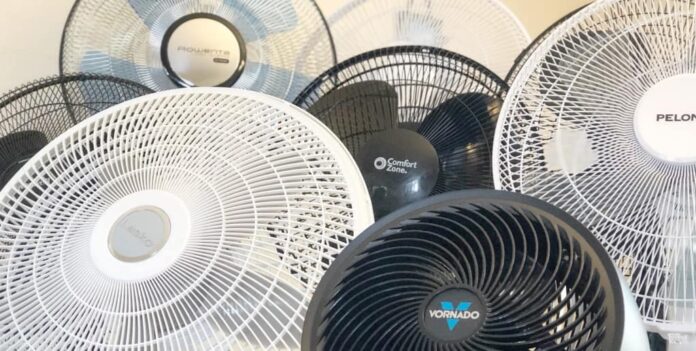 fans.jpeg