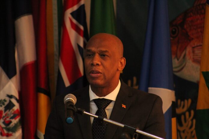 Clare-scaled.jpg