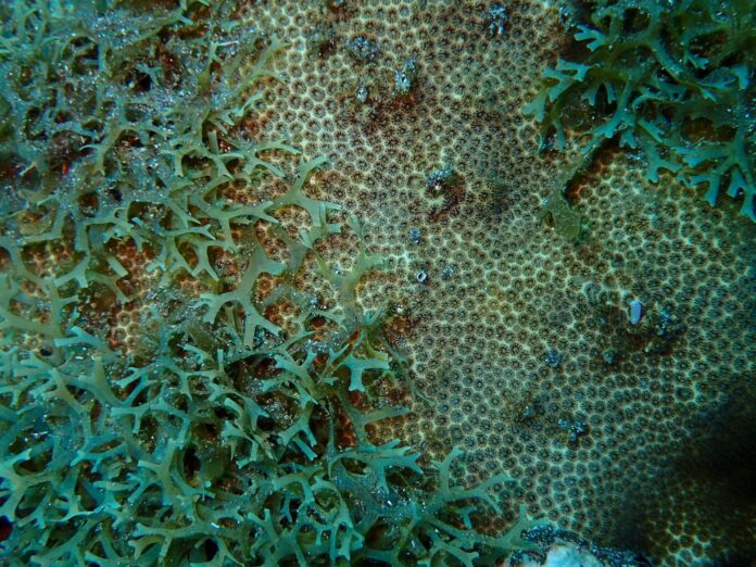 Image-1-scaled.jpg