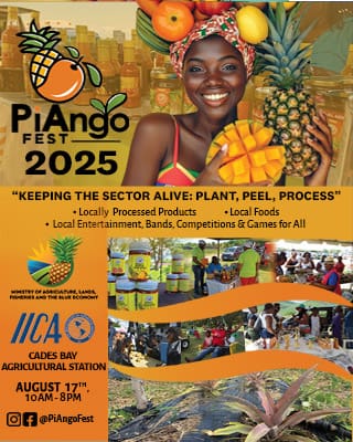 PiAngo-fest-flyer320x400.jpg