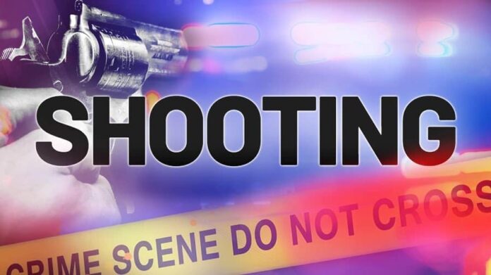 shooting2.jpeg