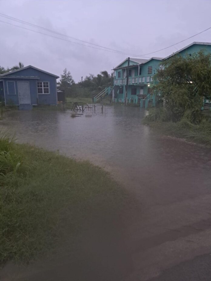 FLOOD.jpg