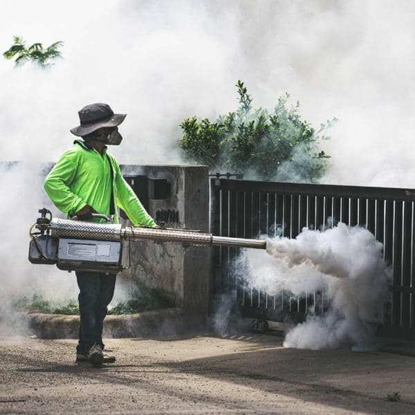 Mosquito-Fogging-Service.jpeg