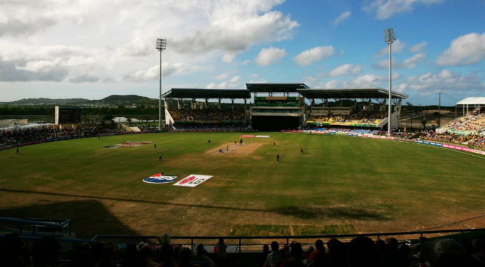 Sirviv.png