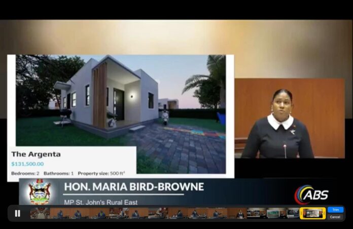 maria_bird_browne_argenta.jpg