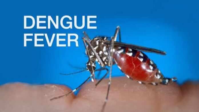 DENGUE-MOSQUITO-16-x-9.jpg