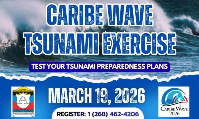 CARIB-WAVE.jpeg