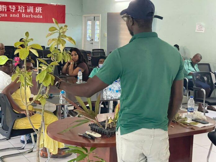 horti.jpg