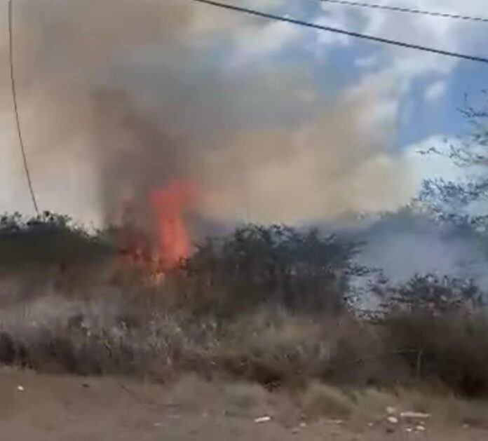 FIRE.jpeg
