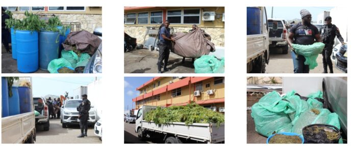 cannabis_raid_collage.jpg