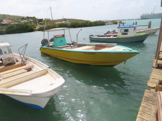 fisheries-22-boats-scaled-e1780702569369.jpg