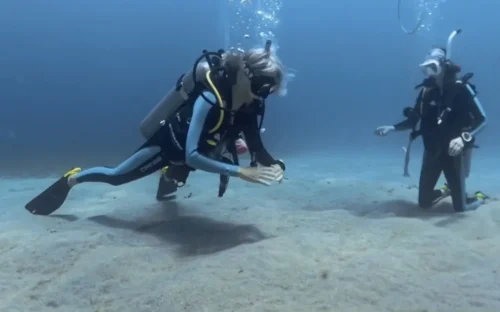 Cathy-Scuba-Dive-Course-e1783529425848.webp