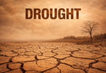 Antigua Forecast to Enter Islandwide Drought Emergency by October