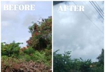 VIDEO: Bulk Waste Collection Continues in Cassada Gardens