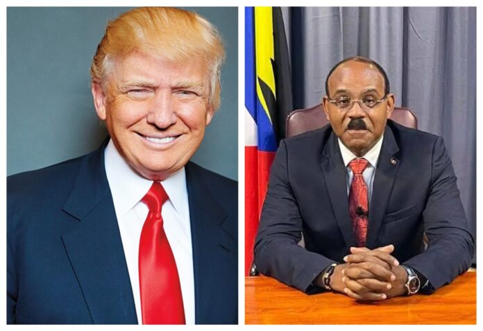 trump-browne-scaled.jpg